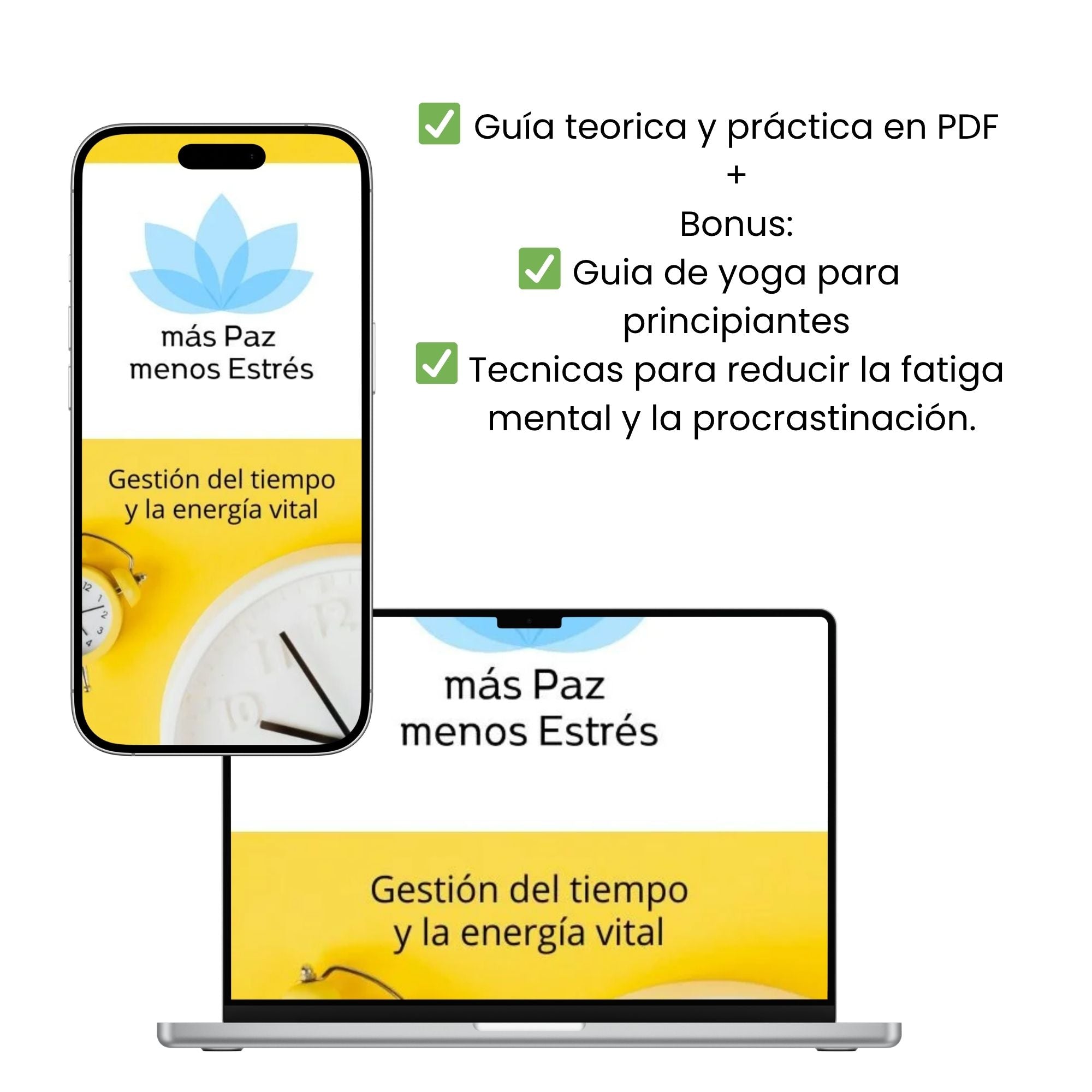 E-Book Gestión Del Tiempo y Energía Vital