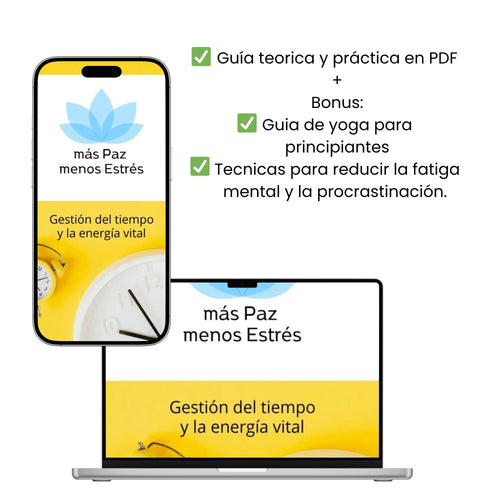 E-Book Gestión Del Tiempo y Energía Vital